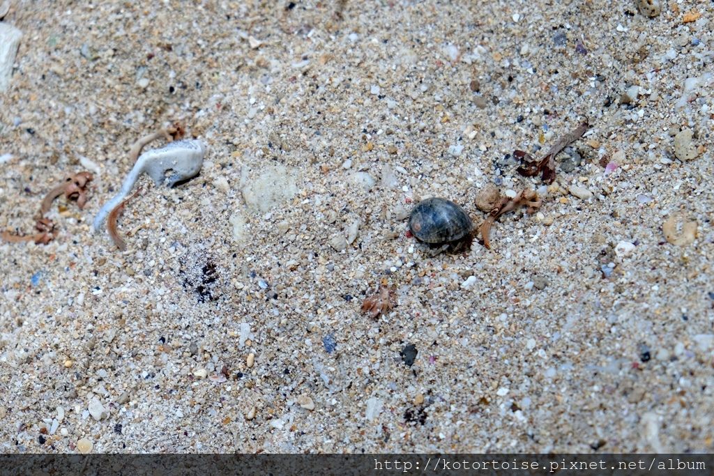 [台灣/小琉球] 美人洞觀景台和杉福漁港