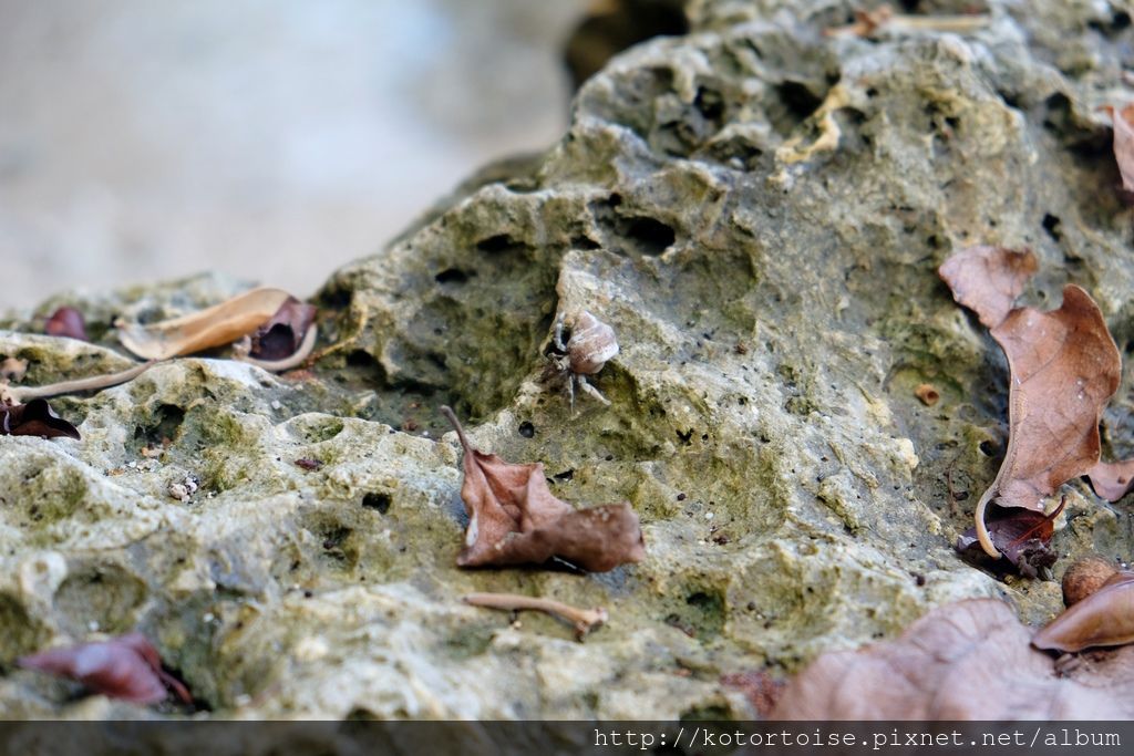 [台灣/小琉球] 美人洞觀景台和杉福漁港