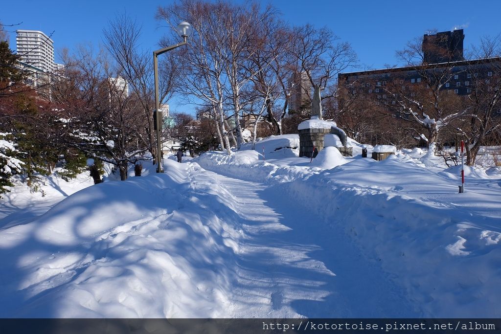 [日本北海道] 都市裡的白雪樂園 - 札幌中島公園