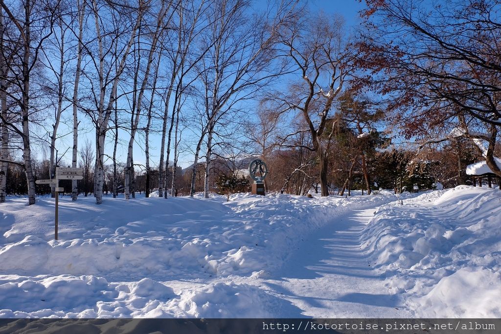 [日本北海道] 都市裡的白雪樂園 - 札幌中島公園