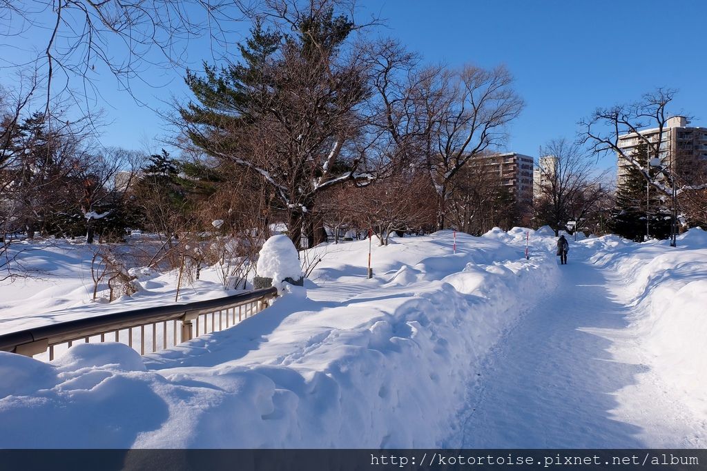 [日本北海道] 都市裡的白雪樂園 - 札幌中島公園