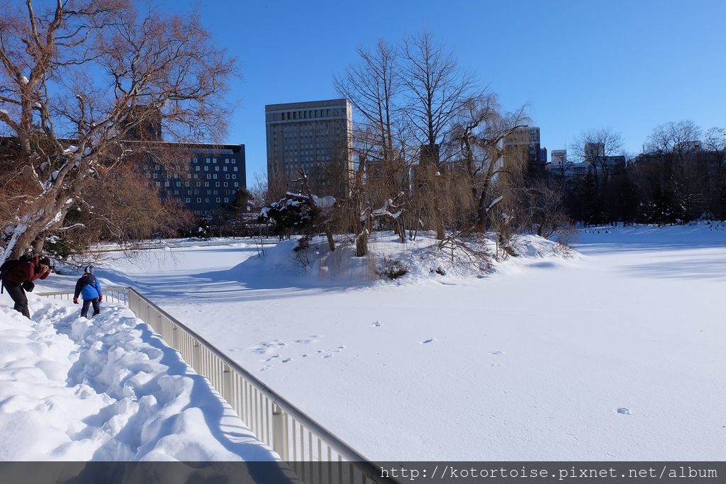 [日本北海道] 都市裡的白雪樂園 - 札幌中島公園