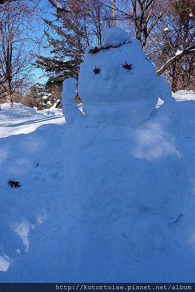 [日本北海道] 都市裡的白雪樂園 - 札幌中島公園