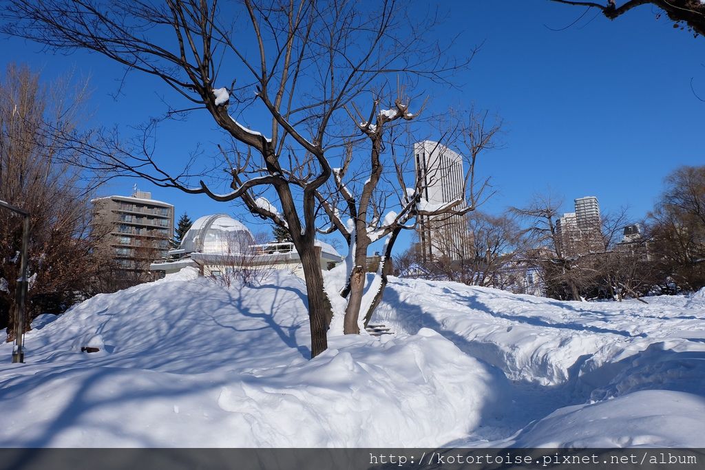 [日本北海道] 都市裡的白雪樂園 - 札幌中島公園