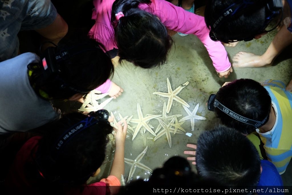 [台灣/澎湖] 2018年5月 澎湖3天2夜生態之旅