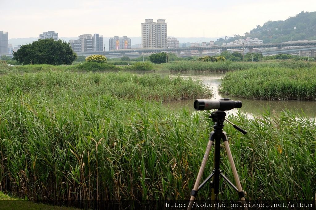 DSCF1057.jpg DSCF1057.jpg