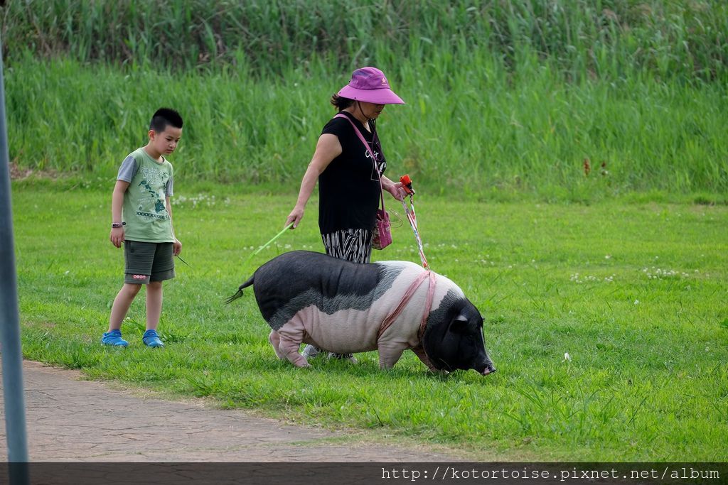 DSCF1049.jpg DSCF1049.jpg