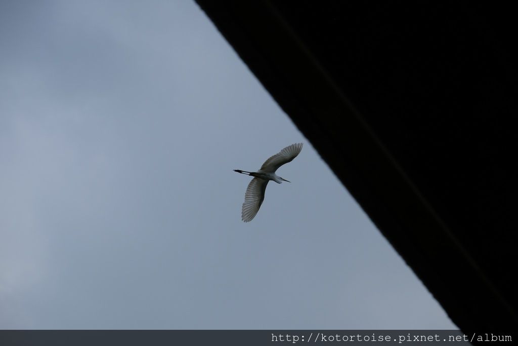 DSCF1068.jpg DSCF1068.jpg