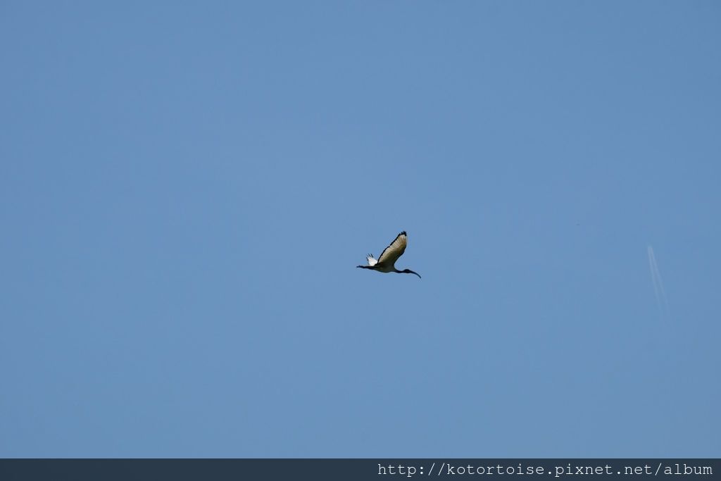 DSCF2469.jpg DSCF2469.jpg