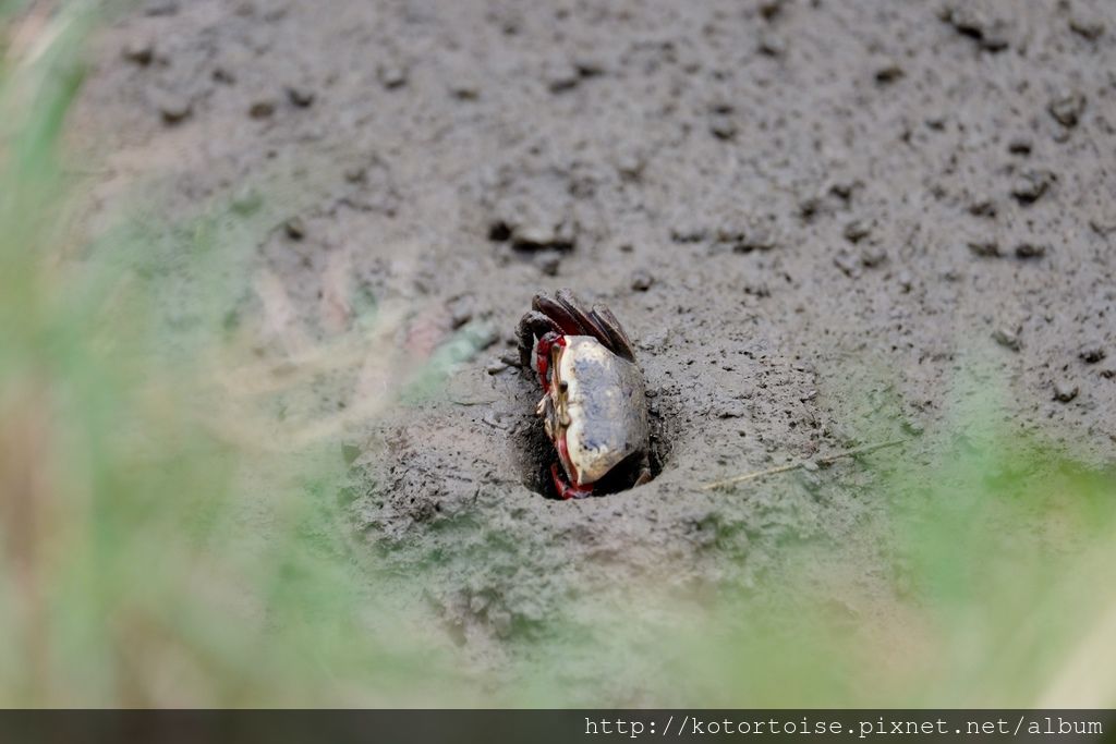 DSCF1091.jpg DSCF1091.jpg