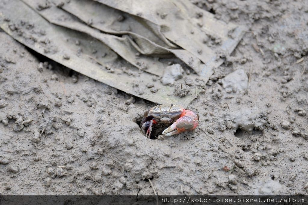 DSCF1095.jpg DSCF1095.jpg