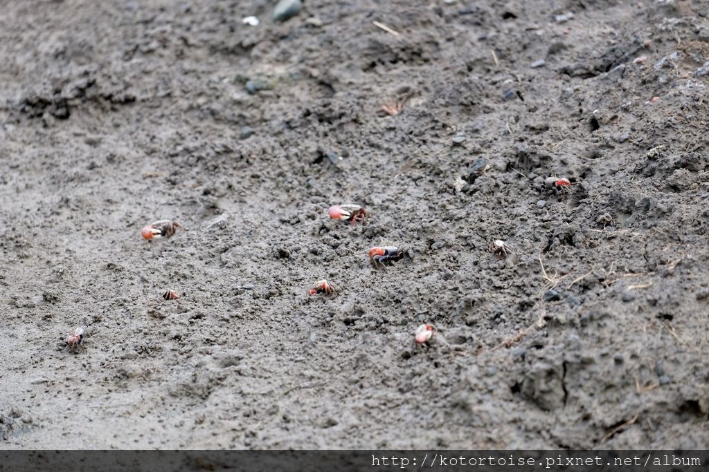 DSCF1094.jpg DSCF1094.jpg