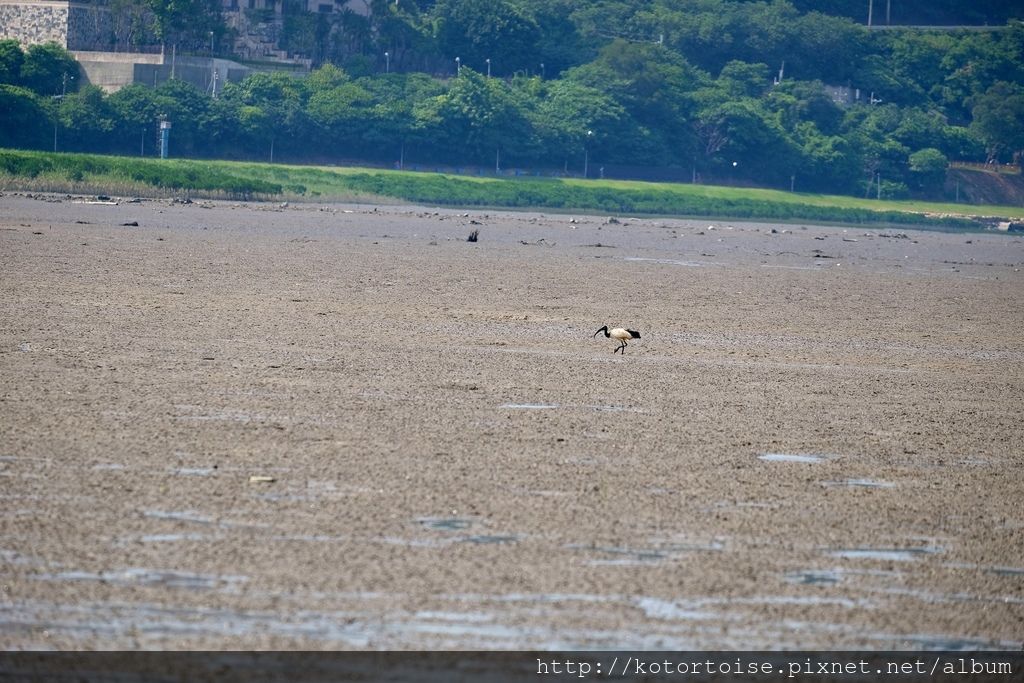 DSCF2604.jpg DSCF2604.jpg