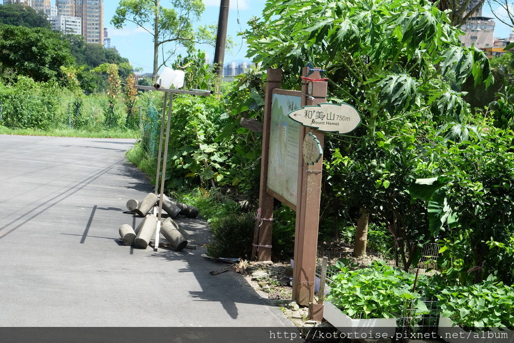 DSCF3106.JPG DSCF3106.JPG