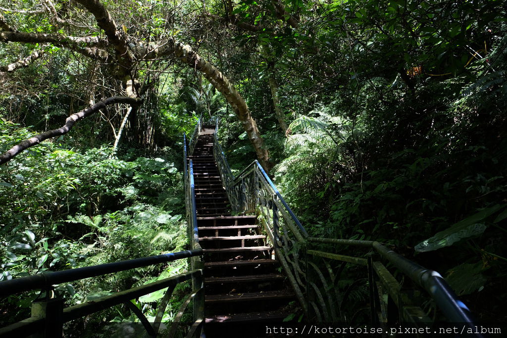 DSCF3110.JPG DSCF3110.JPG