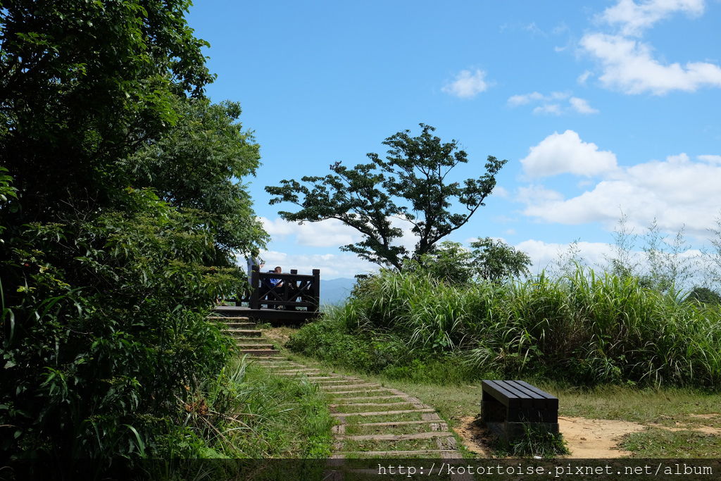 DSCF3119.JPG DSCF3119.JPG