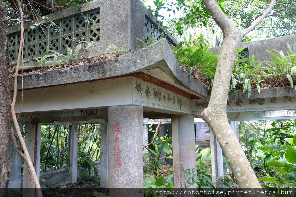 DSCF3125.JPG DSCF3125.JPG