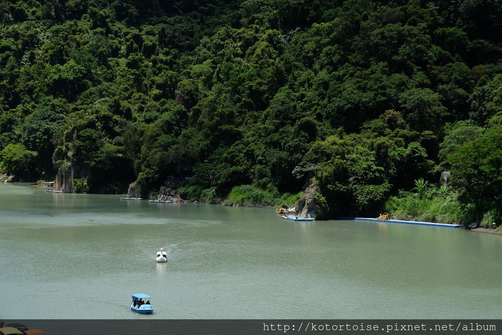 DSCF3134.JPG DSCF3134.JPG