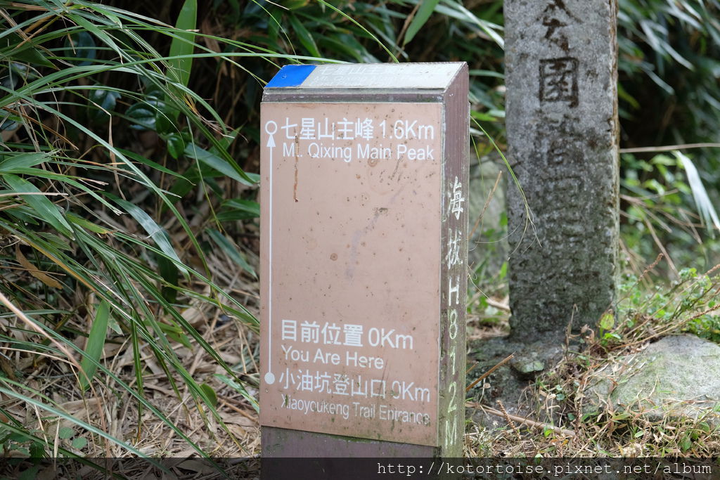 DSCF3056.JPG DSCF3056.JPG