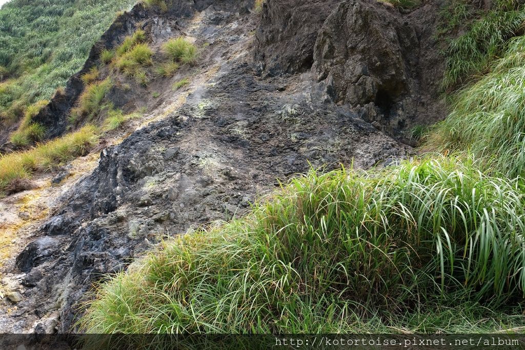 DSCF3064.JPG DSCF3064.JPG