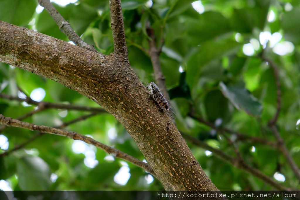 DSCF3071.JPG DSCF3071.JPG