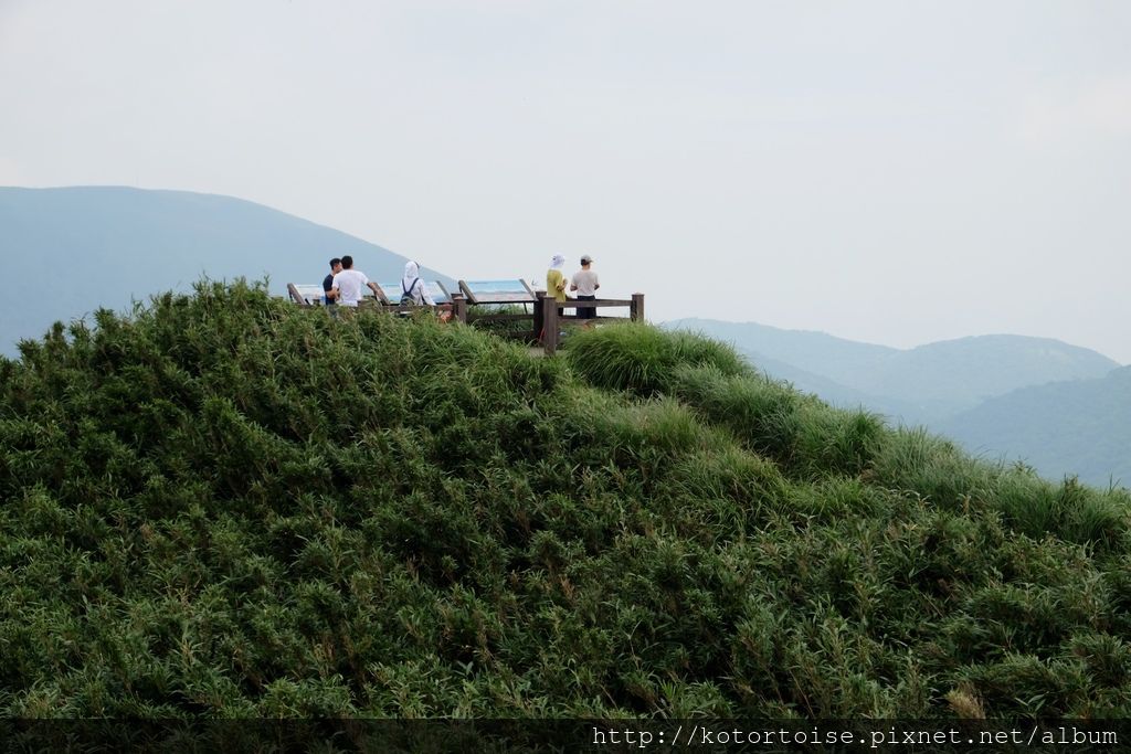 DSCF3078.JPG DSCF3078.JPG