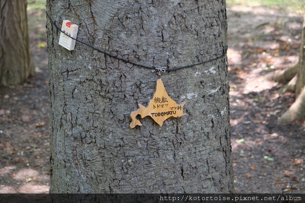 DSCF4594.jpg DSCF4594.jpg