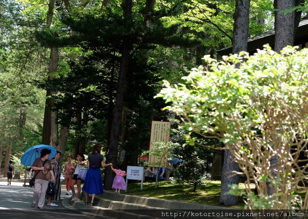 DSCF4588.jpg DSCF4588.jpg