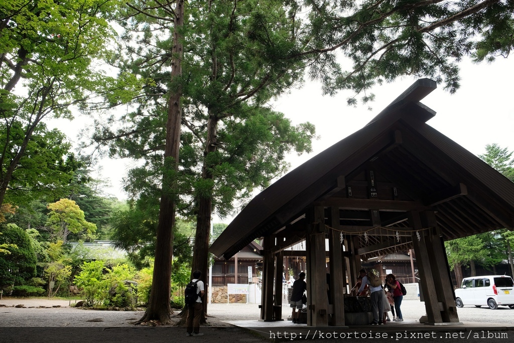 DSCF4569.jpg DSCF4569.jpg