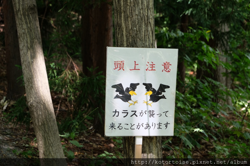 DSCF4558.jpg DSCF4558.jpg