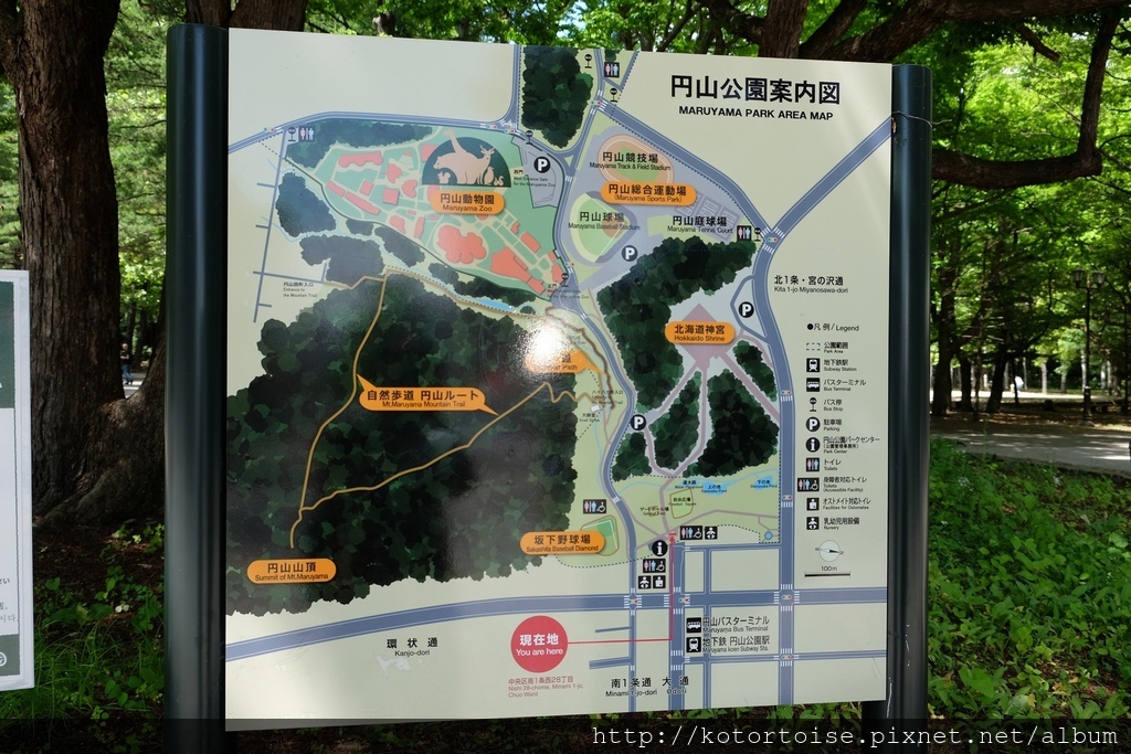 DSCF4553.jpg DSCF4553.jpg