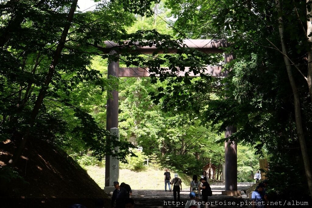 DSCF4556.jpg DSCF4556.jpg