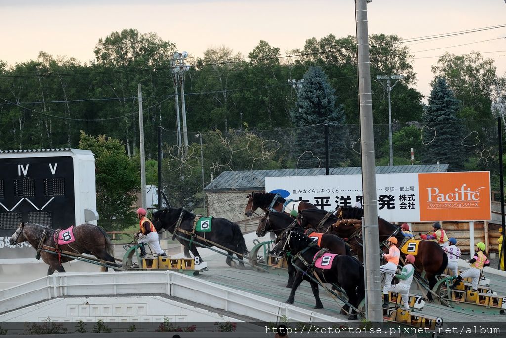 [日本北海道] 帶廣競馬