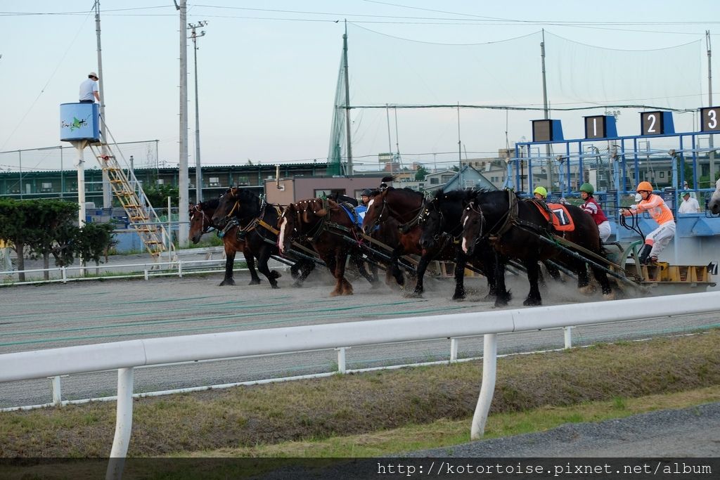 [日本北海道] 帶廣競馬