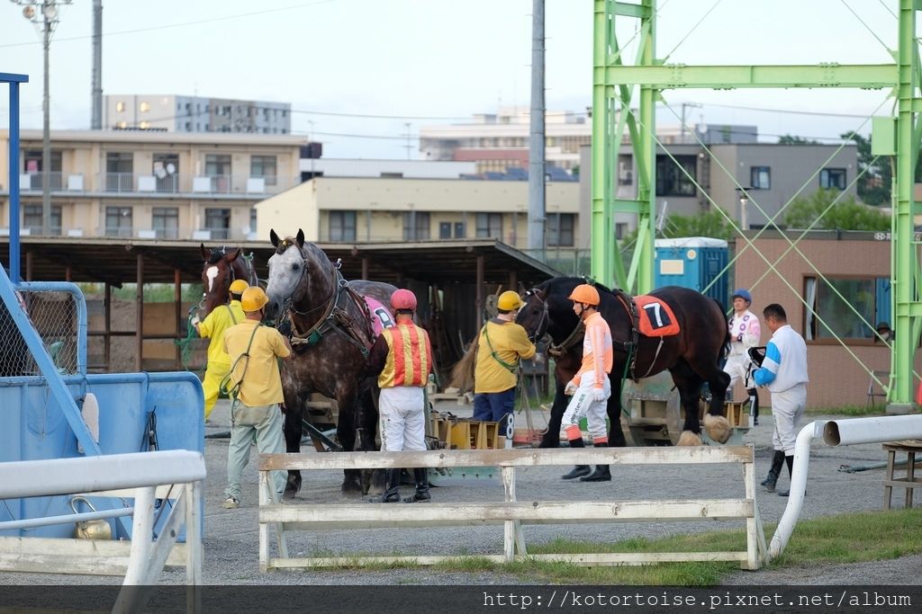 [日本北海道] 帶廣競馬