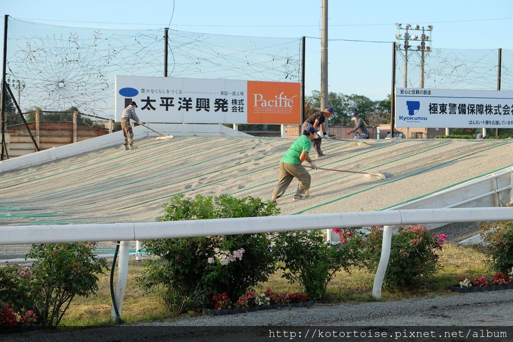 [日本北海道] 帶廣競馬