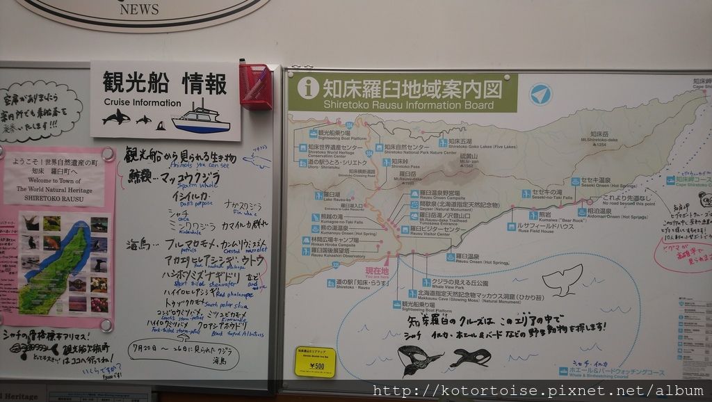 [日本北海道] 知床半島最終章 - 羅臼賞鯨