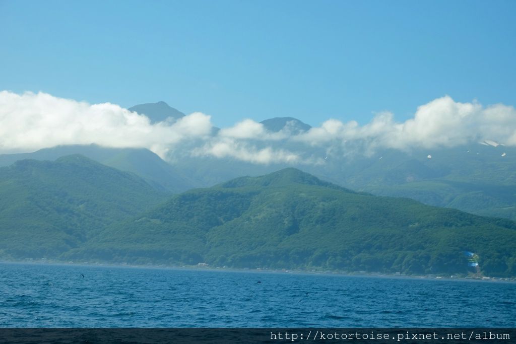 [日本北海道] 知床半島最終章 - 羅臼賞鯨