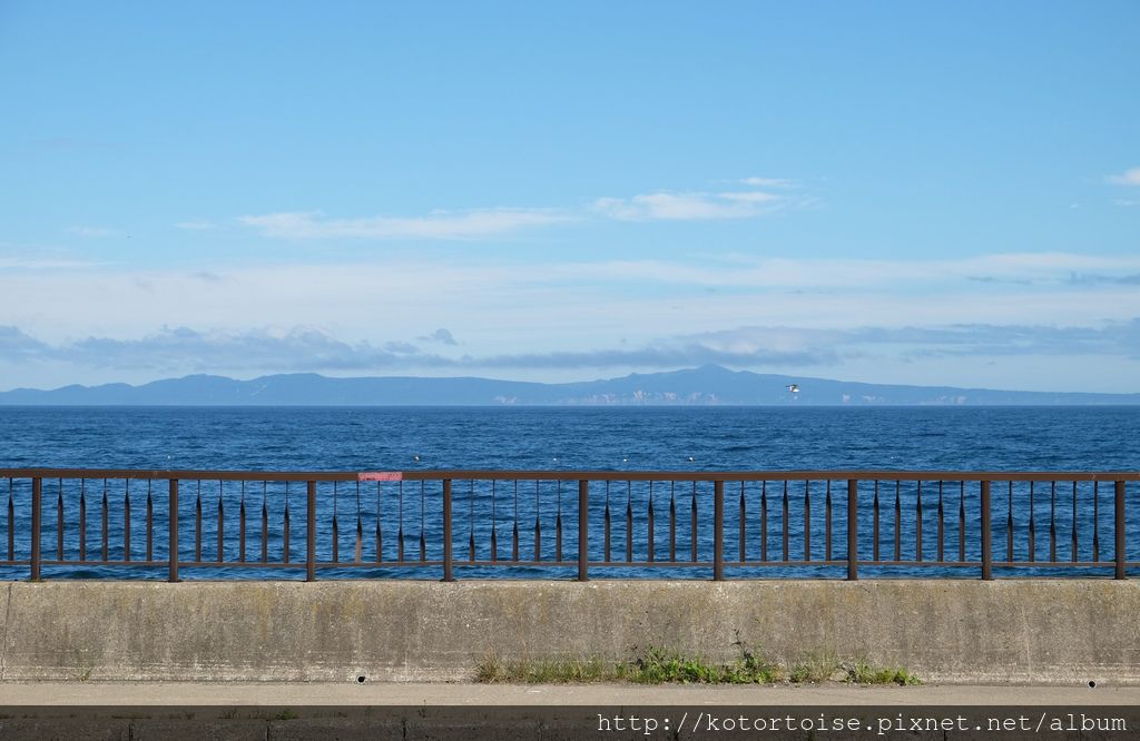 [日本北海道] 知床半島最終章 - 羅臼賞鯨