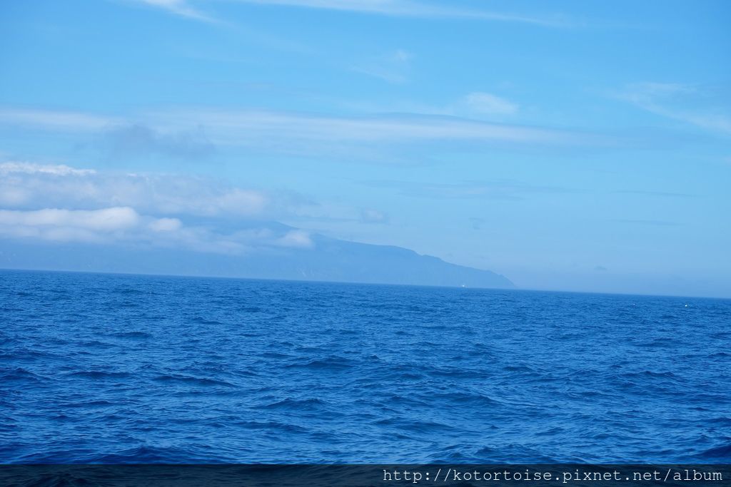 [日本北海道] 知床半島最終章 - 羅臼賞鯨
