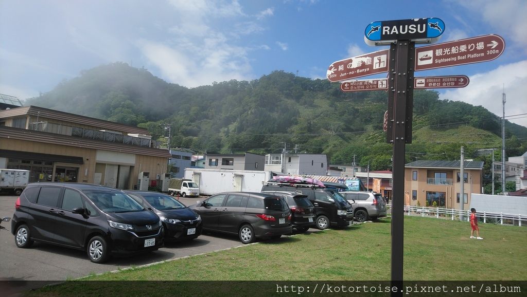 [日本北海道] 知床半島最終章 - 羅臼賞鯨