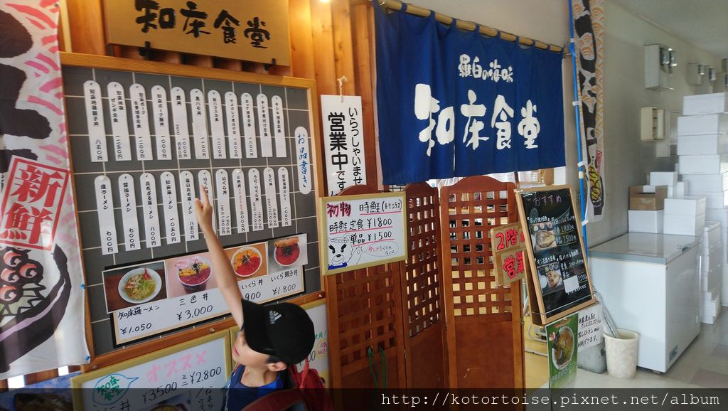 [日本北海道] 知床半島最終章 - 羅臼賞鯨