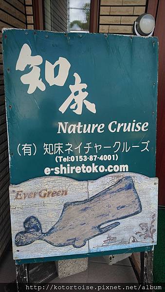 [日本北海道] 知床半島最終章 - 羅臼賞鯨