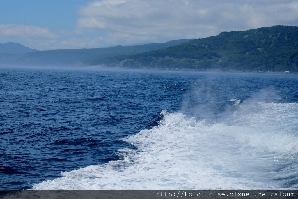[日本北海道] 知床半島最終章 - 羅臼賞鯨