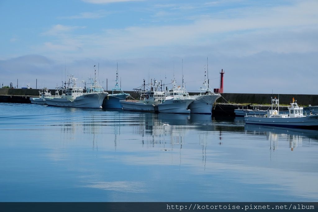 [日本北海道] 知床半島最終章 - 羅臼賞鯨