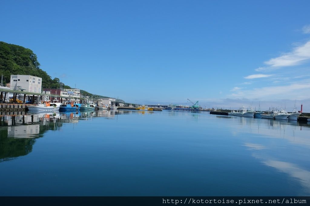 [日本北海道] 知床半島最終章 - 羅臼賞鯨