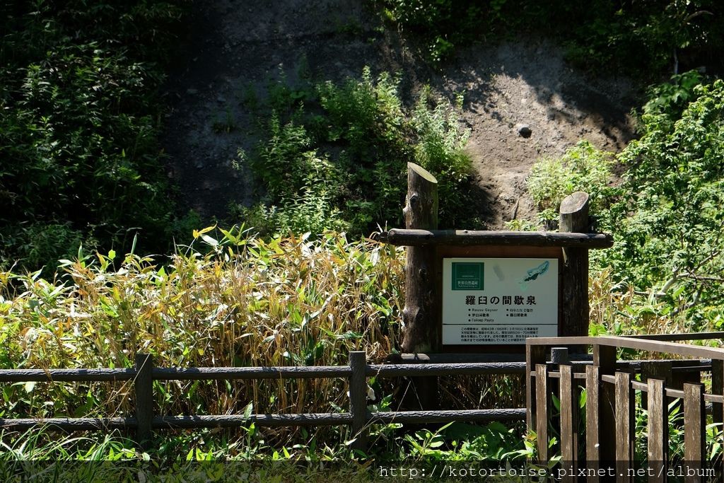 [日本北海道] 知床半島二部曲: プユニ岬 -> 知床自然中