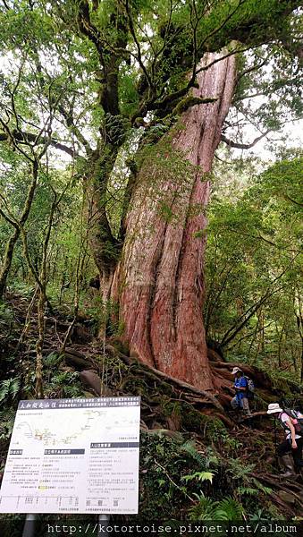 [台灣/宜蘭] 2018.8 美景一瞬間: 加羅湖