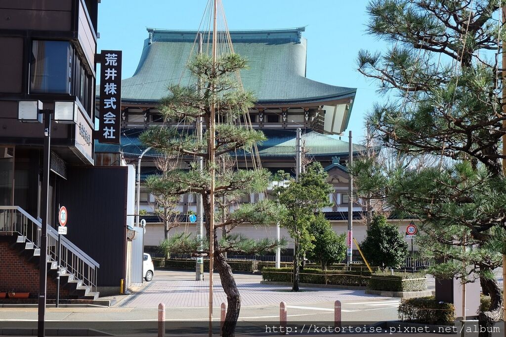 DSCF2442.jpg DSCF2442.jpg