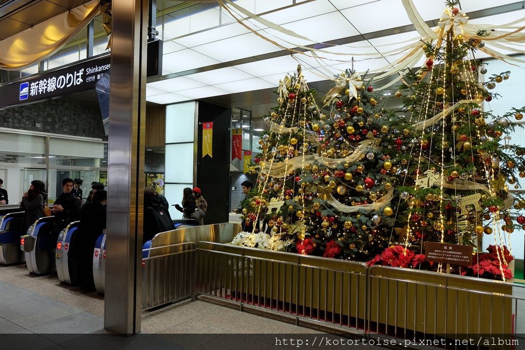 DSCF2446.jpg DSCF2446.jpg